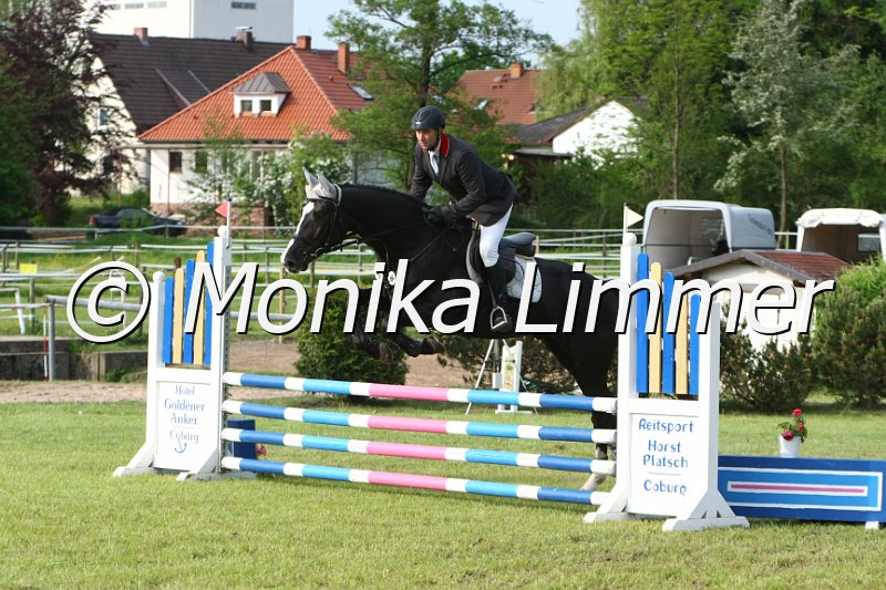 204M2439_Balou Noire_Stil_A.JPG